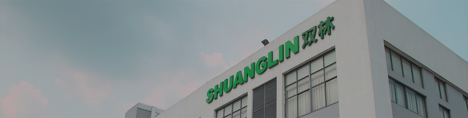 pp电子集团站群