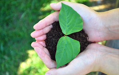pp电子·(中国)官方网站